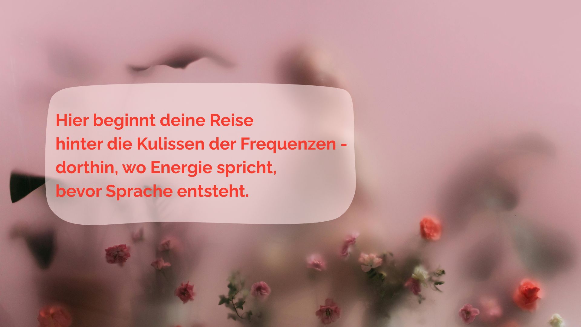 Hier beginnt deine Reise hinter die Kulissen der Frequenzen